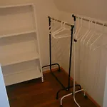 Patera *